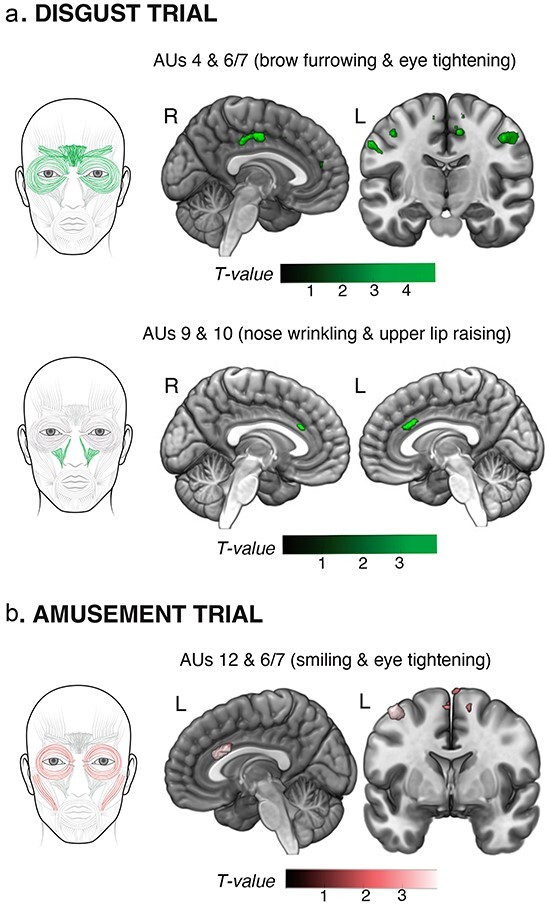 Figure 1.