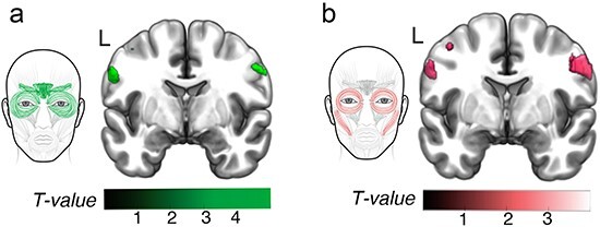 Figure 2.