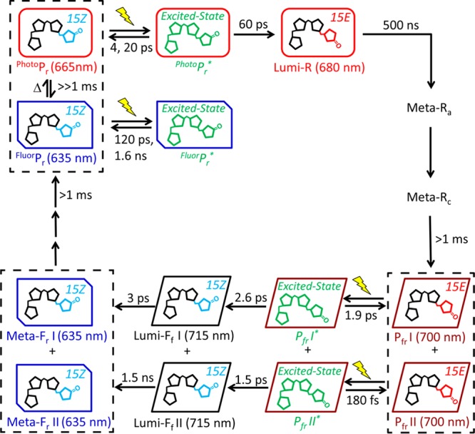 Figure 9