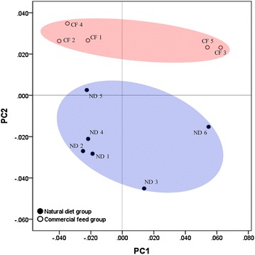 Fig. 3