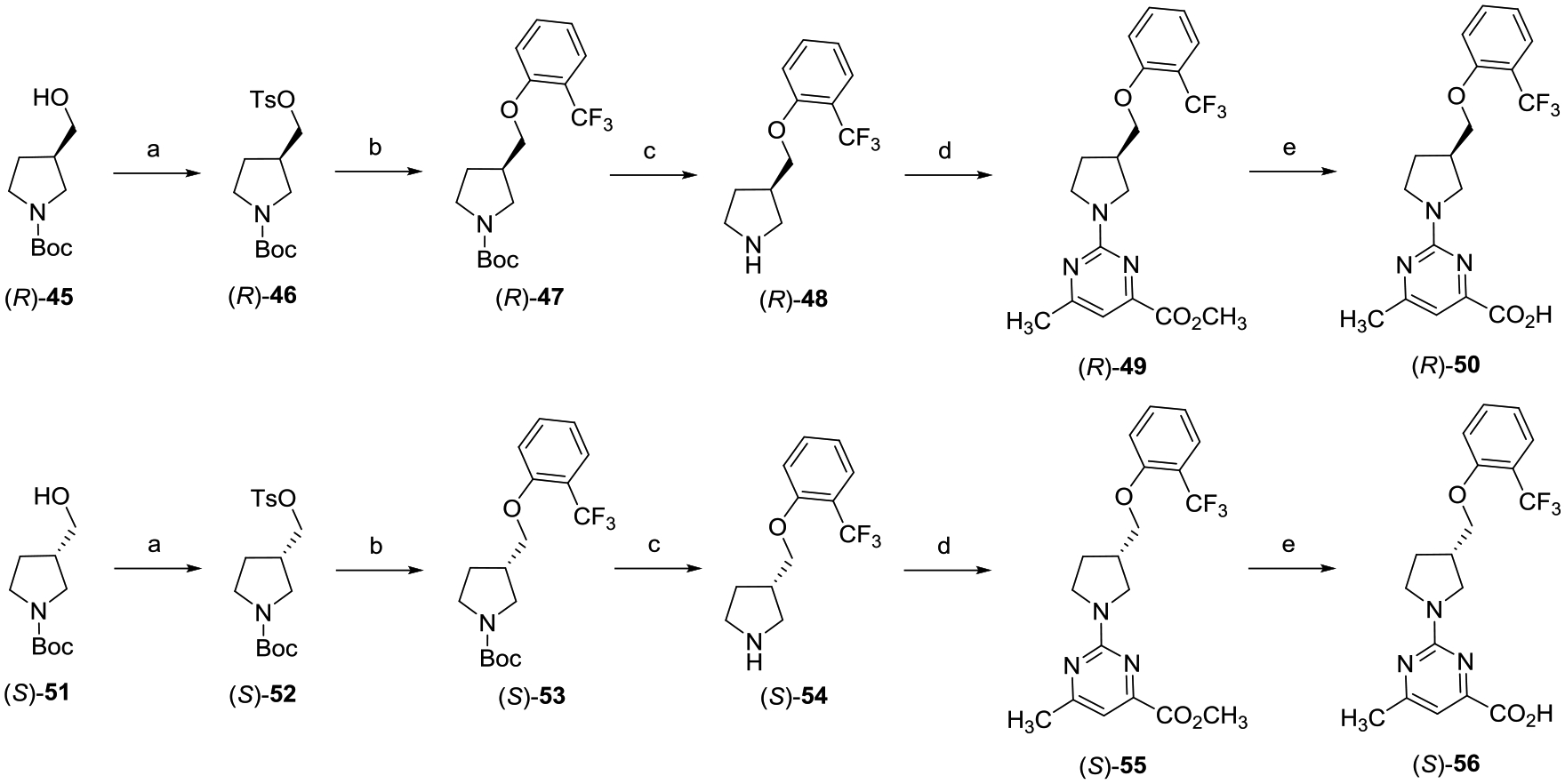 Scheme 6