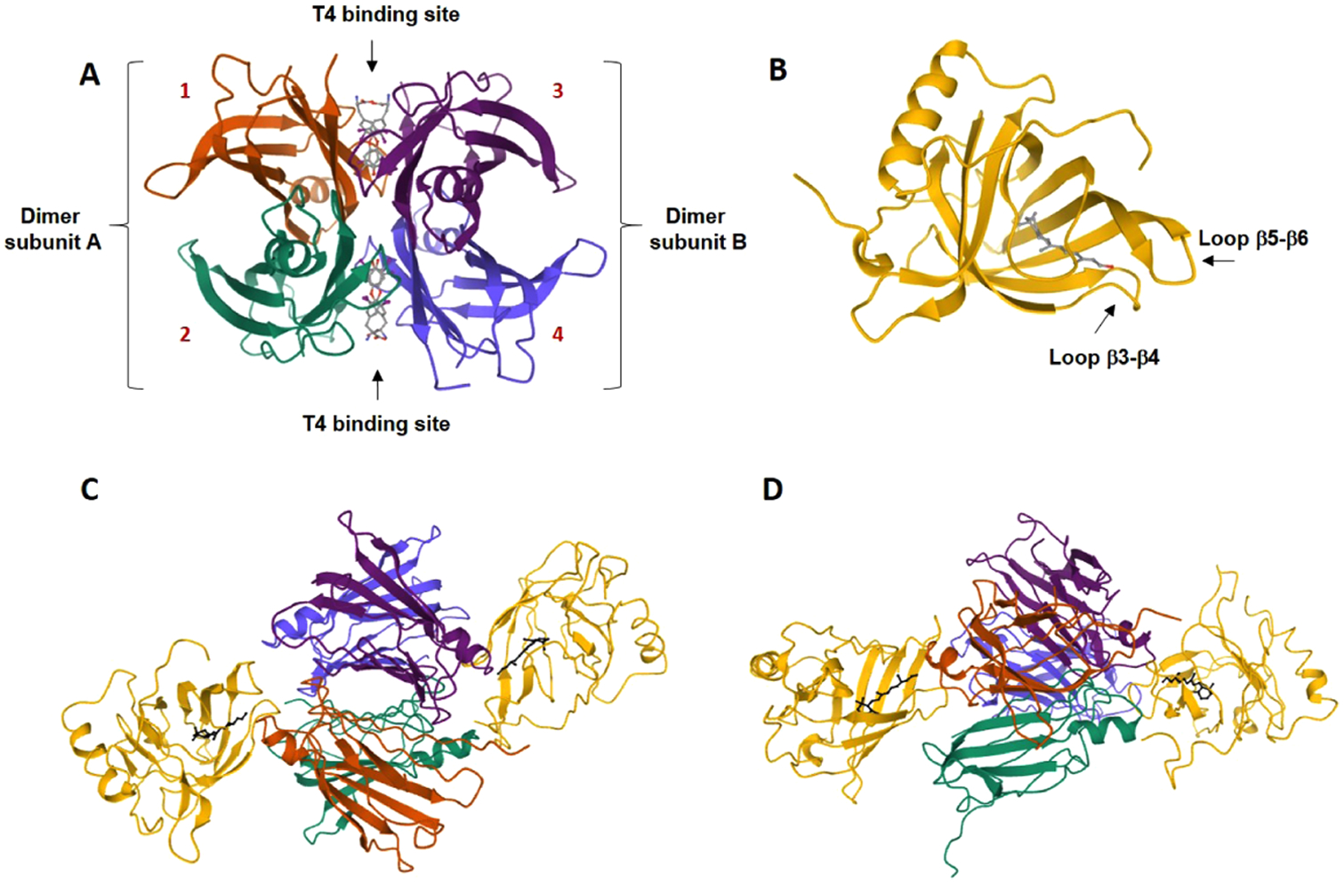 Figure 3.