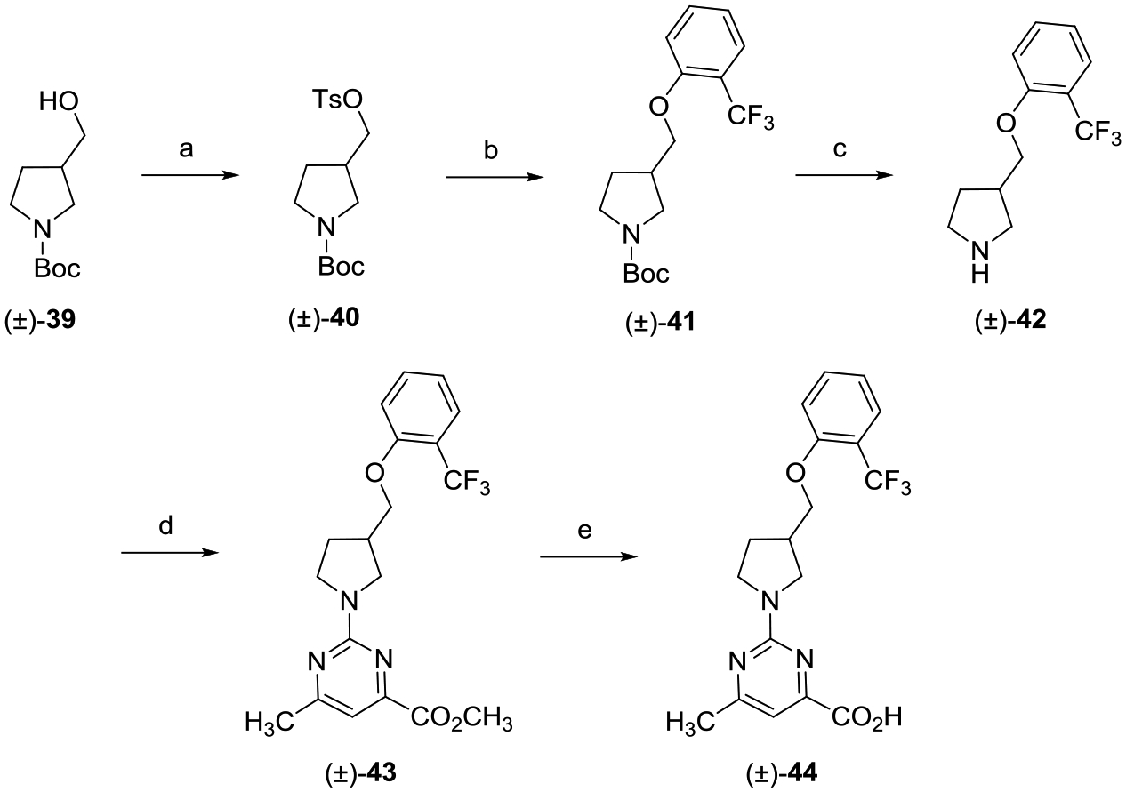 Scheme 5