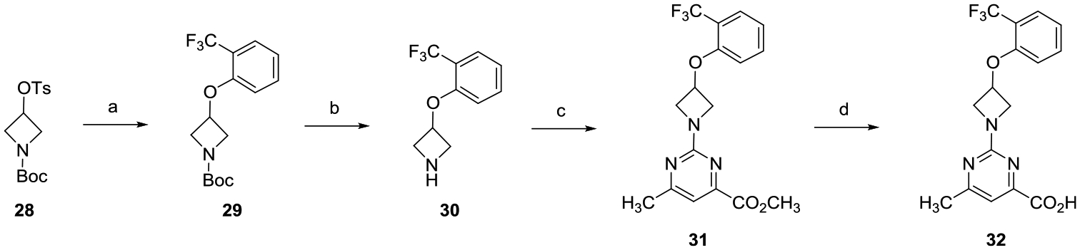 Scheme 3