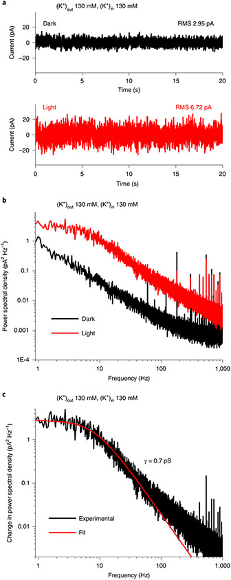 Fig. 3 ∣