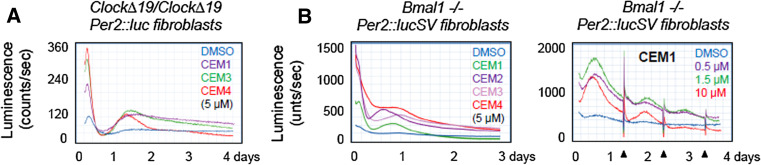 Fig. 2