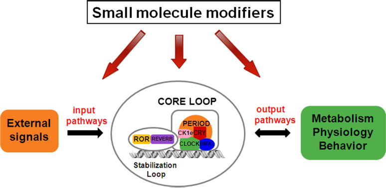 Fig. 1