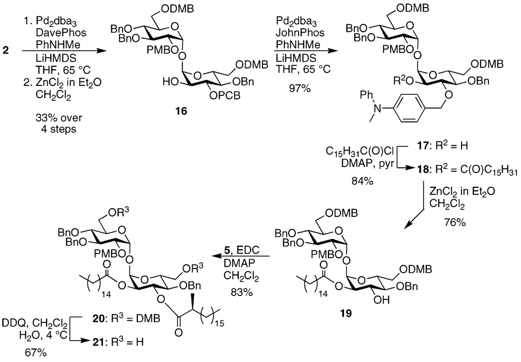 SCHEME 4