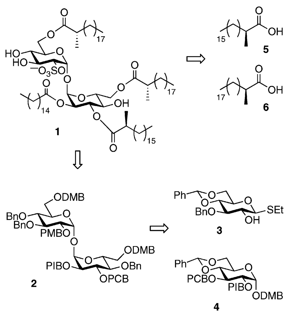 FIGURE 2