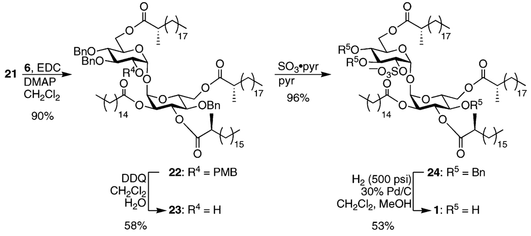 SCHEME 5