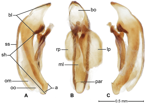 Figure 5.