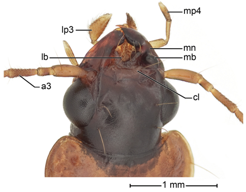 Figure 2.