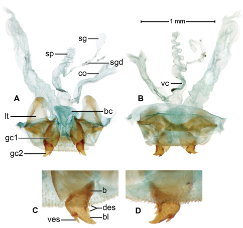 Figure 6.