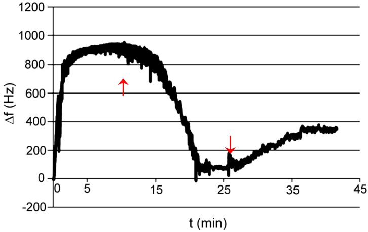 Figure 13