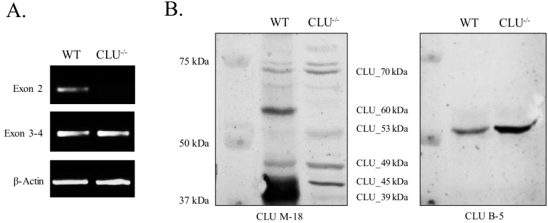 Figure 9.