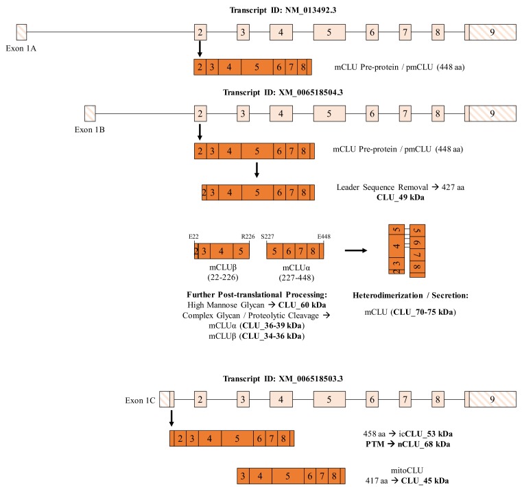 Figure 10.