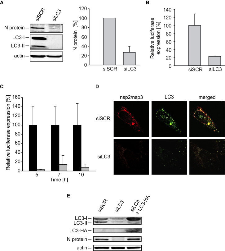 Figure 4