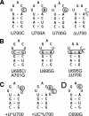 FIGURE 3.