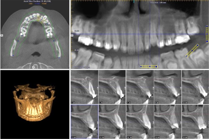 Fig. 7