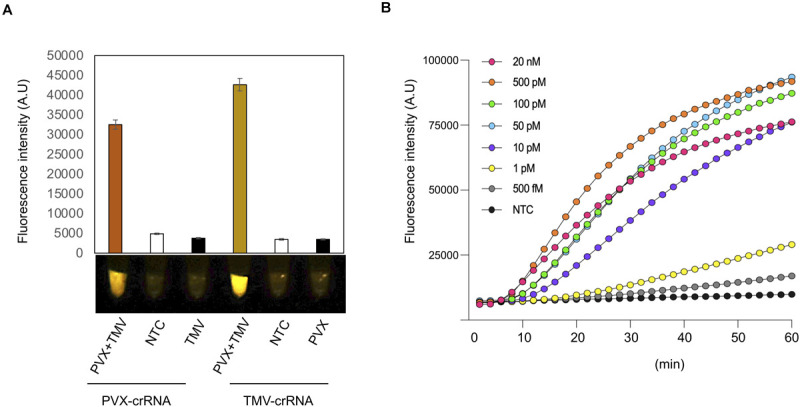 FIGURE 3