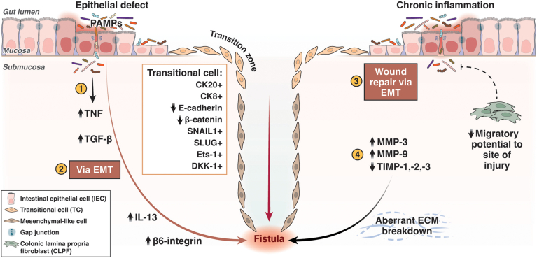 Figure 2