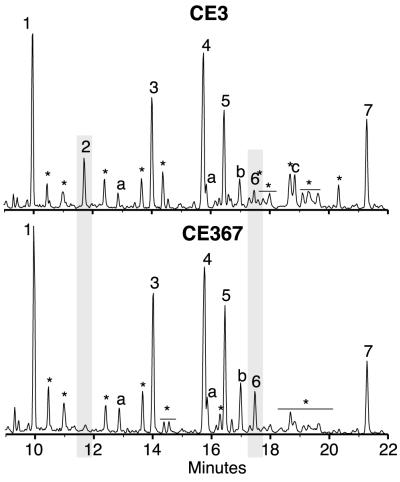 FIG. 7