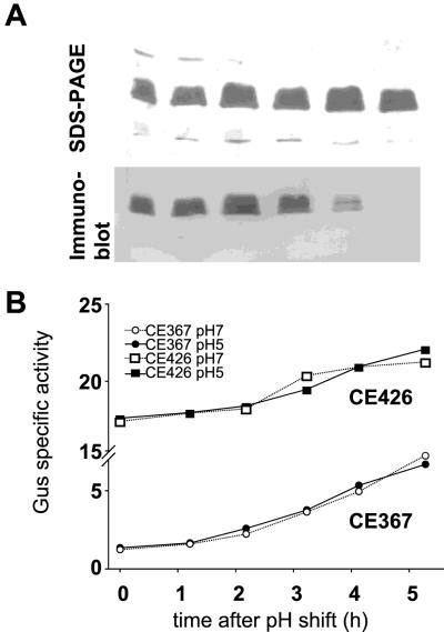 FIG. 9