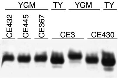 FIG. 8