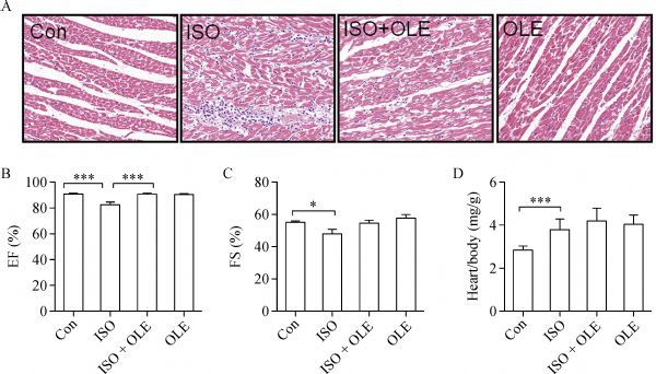 Fig.4