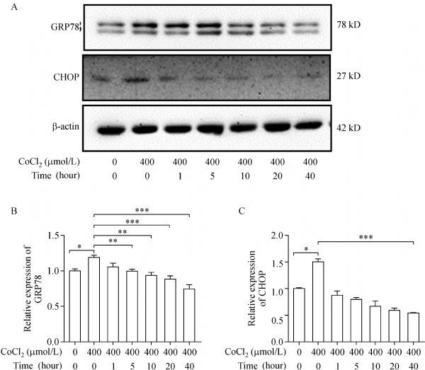 Fig.3