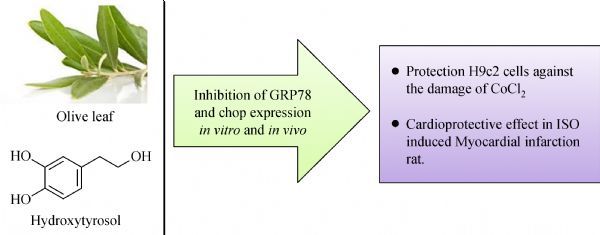 Fig.6