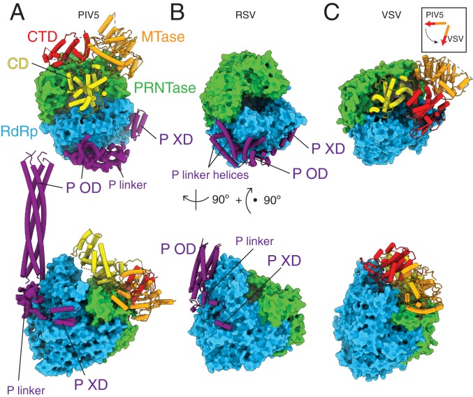 Fig. 4.