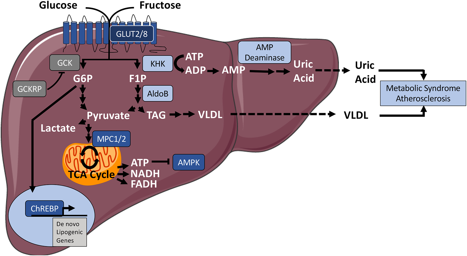 Figure 1.