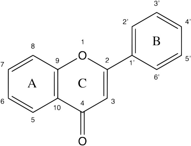 FIGURE 2