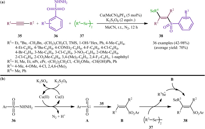 Scheme 15