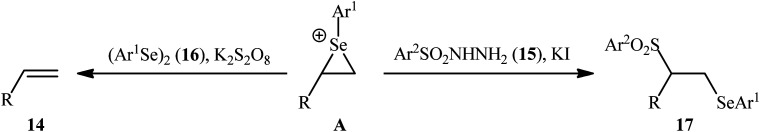 Scheme 8