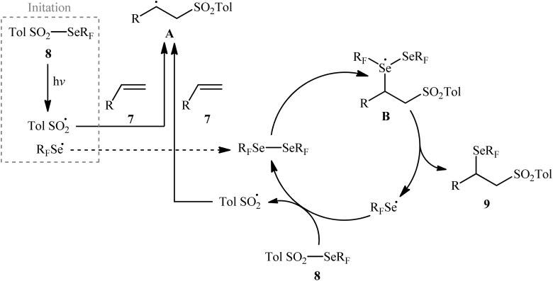 Scheme 5