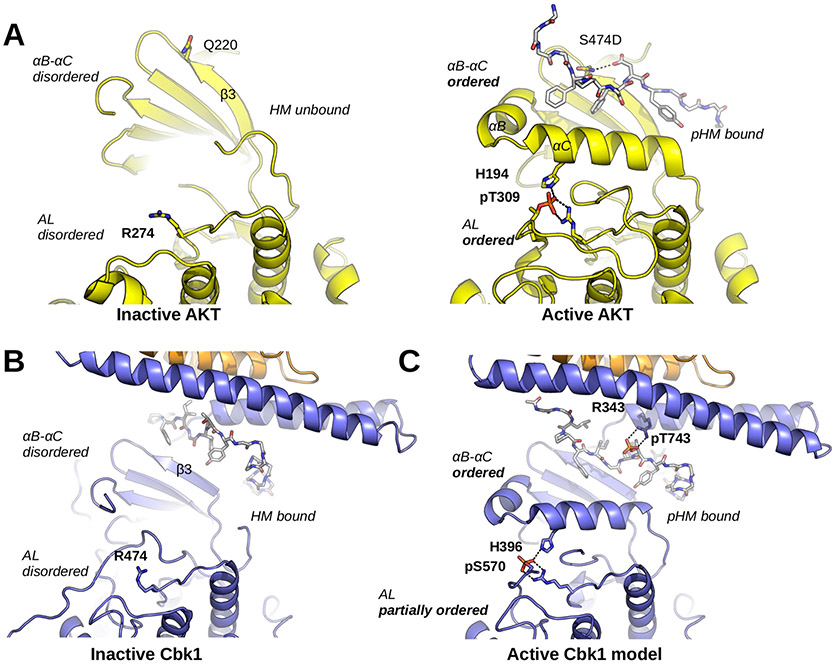 Figure 6.