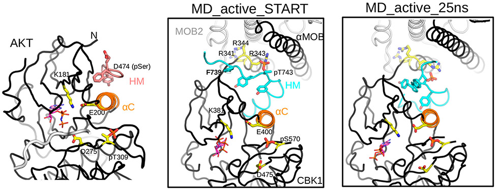 Figure 7.