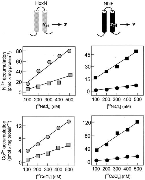 FIG. 6.