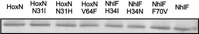 FIG. 7.