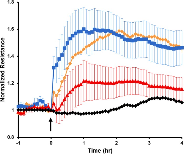 Fig. 11.