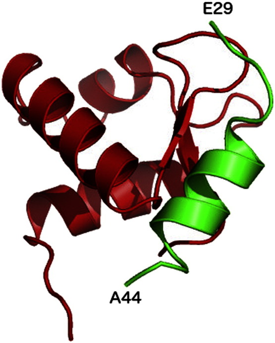 Fig. 5