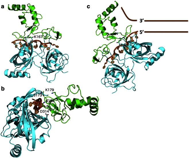 Fig. 4