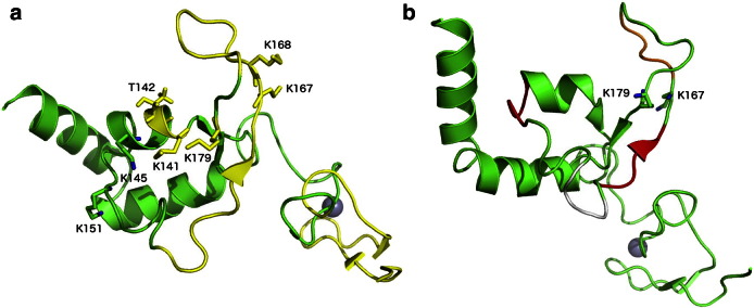 Fig. 3