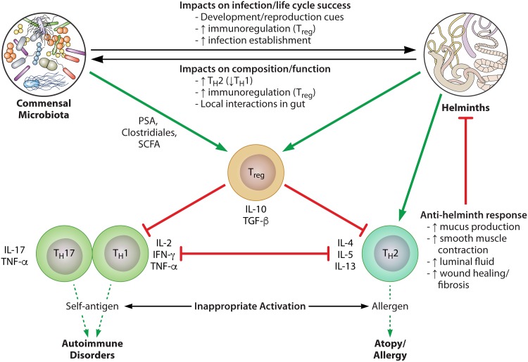 FIG 3