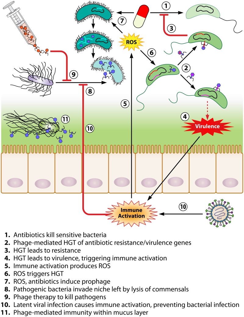 FIG 4