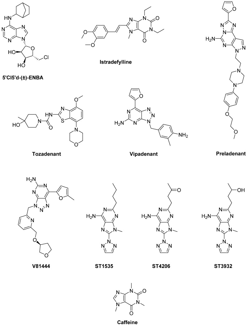 Figure 11