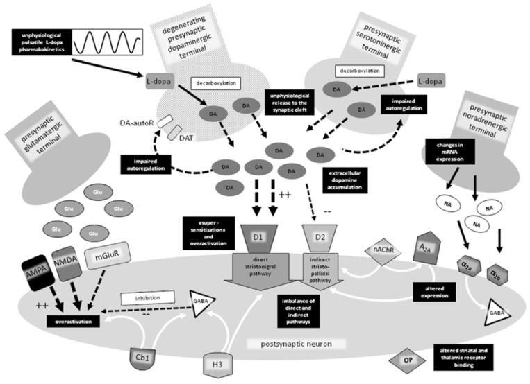 Figure 19