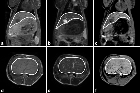 Fig. 6